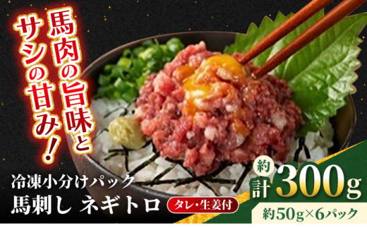 【フジチク】 馬刺し ネギトロ 約50g×6個（計約300g）タレ付き 馬 馬肉 肉 熊本県 【亀井通産 株式会社】 [AYBQ002] 2114896 - 熊本県合志市