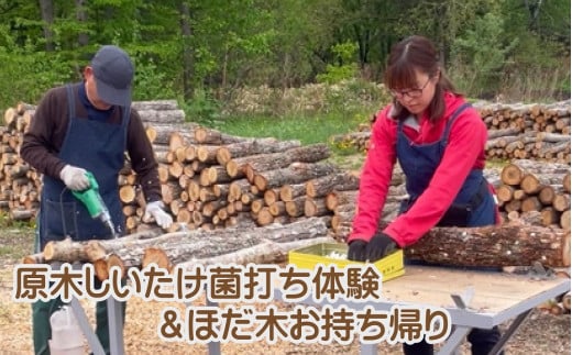 AL-5001 原木シイタケの菌打ち体験＆自分で菌打ちしたホダ木