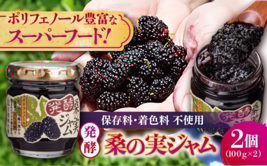 発酵桑の実 ジャム 2個セット（100g×2） 【株式会社 峯樹木園】 [AYBM011]