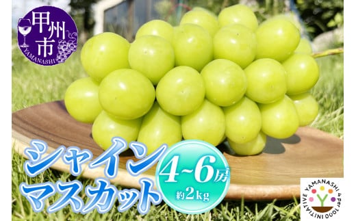 【新鮮朝採】KOSHUシャインマスカット 約2kg（4～6房）【2025年発送】（SFM）C-965 【シャインマスカット 葡萄 ぶどう ブドウ 令和7年発送 期間限定 山梨県産 甲州市 フルーツ 果物】