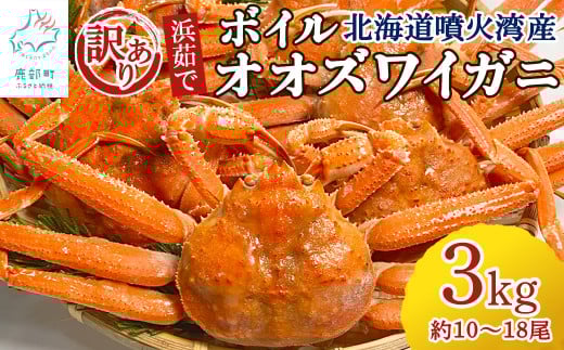 【訳あり】北海道産 ボイルオオズワイガニ 3kg 約10～18尾 かに 蟹 ずわい蟹 2017725 - 北海道鹿部町