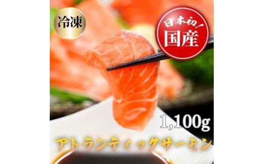 E39【寄附翌月第4金曜発送】日本初！今話題の国産アトランティックサーモン「FUJI ATLANTIC SALMON」【冷凍】1,100ｇ