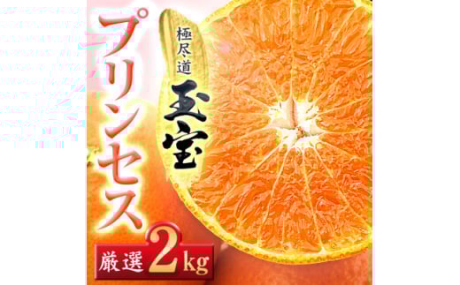 ≪新品種!!≫＜甘平×まどんな＞愛果48号(紅プリンセスと同品種)2kg＜D64-76＞【1621821】