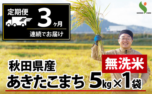 新米先行受付 【定期便3ヶ月】秋田県産あきたこまち(無洗米)5kg 225P9204　/ 米 無洗米 5kg 白米 令和7年産 秋田県産 あきたこまち 5kg×1袋 おにぎり 大館 東北 秋田 小分け こわけ 大館市 5キロ 5ｷﾛ 5きろ