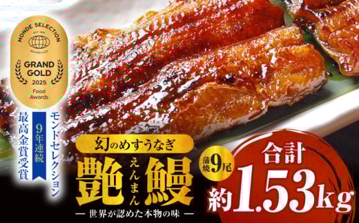 三河一色産　幻のめすうなぎ艶鰻　蒲焼9尾・T119 2117527 - 愛知県西尾市