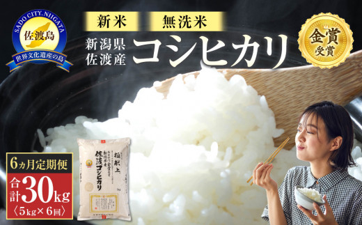 【新米・先行予約】無洗米5kg 新潟県佐渡産コシヒカリ5kg×6回「6カ月定期便」 966790 - 新潟県佐渡市