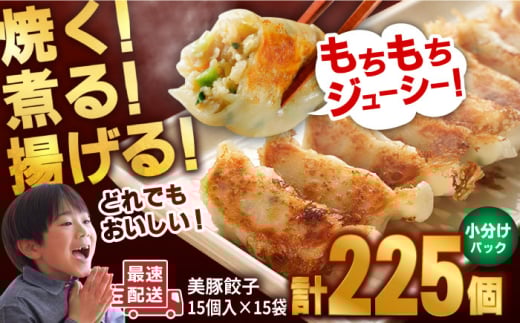 美豚餃子15個入×15袋 五島市/長崎フードサービス 