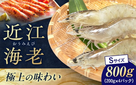 近江海老 Sサイズ 800g 滋賀県長浜市/ワボウ電子株式会社 [AQBA010] エビ 海老 えび 海鮮 魚介類 魚貝類 魚介 甲殻類 下処理不要 冷凍 業務用 小分け 国産 お弁当 刺身 刺し身 エビフライ エビチリ エビマヨ バーベキュー BBQ