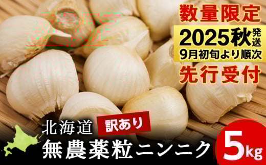 【数量限定】訳あり無農薬粒ニンニク5kg（500g×10袋）バラ 粒 無農薬 にんにくガーリック