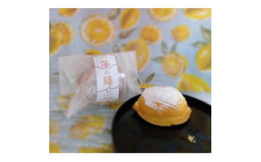 紀の宝マイヤーレモンケーキ～笑み結び～10個入り【1543950】 2122997 - 三重県三重県庁