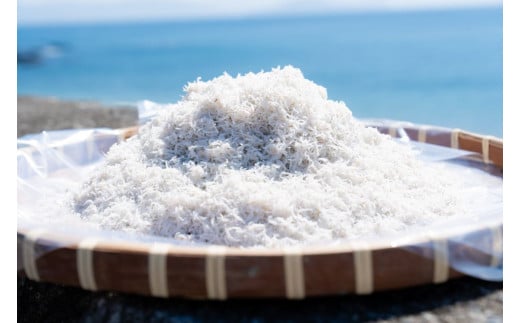 【愛媛県・佐田岬直送】木嶋水産の釜揚げしらす 2kg（250g×8パック）※離島への配送不可 【ふるさと納税 人気 おすすめ ランキング 魚介類 海産物 魚 釜揚げ しらす シラス 小分け やみつき ご飯のお供 おつまみ 酒の肴 おやつ しらす丼 サラダ 海産物 魚 冷凍 国産 木嶋水産 愛媛県産 愛媛県 伊方町 送料無料】 IKTP011