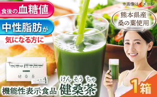 機能性表示食品 健桑茶 1箱【株式会社 峯樹木園】 [AYBM004]