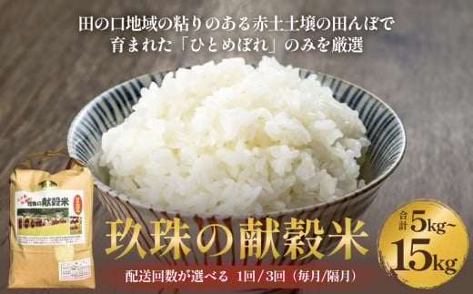 令和7年度 新米予約 玖珠の献穀米 5kg - 15kg 配送回数が選べる ( 1回 / 3回 ) 米 ひとめぼれ 大分県 玖珠町 こめ お米 白米 予約 新米