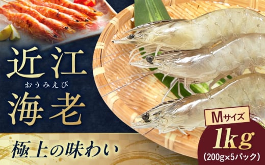 近江海老 Mサイズ 1kg 滋賀県長浜市/ワボウ電子株式会社 [AQBA015] エビ 海老 えび 海鮮 魚介類 魚貝類 魚介 甲殻類 下処理不要 冷凍 業務用 小分け 国産 お弁当 刺身 刺し身 エビフライ エビチリ エビマヨ バーベキュー BBQ