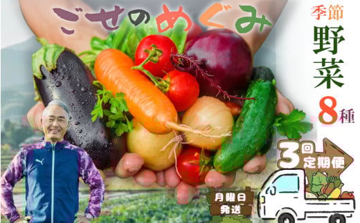 【冷蔵】（定期便）（月曜日発送）季節のこだわり野菜セット　年3回 ／ 奥野ファーム大和 季節野菜 有機肥料 奈良県 御所市 2115953 - 奈良県御所市