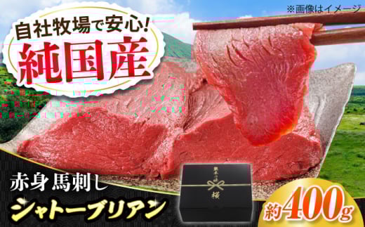 『純国産』熊本の味 赤身 馬刺し シャトーブリアン 計約400g（約200g×2パック）チルド 冷蔵 ブロック【有限会社 九州食肉産業】 [AYCN058] 2114921 - 熊本県合志市