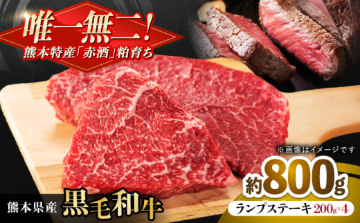 熊本県産 『原田畜産』 黒毛和牛 ランプ ステーキ 計約800g（約200g×4パック） 牛肉 牛【有限会社 九州食肉産業】 [AYCN091] 2114851 - 熊本県合志市
