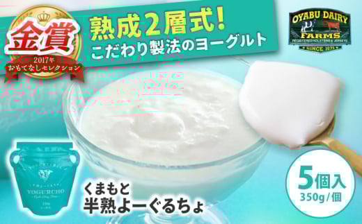 オオヤブデイリーファーム くまもと半熟よーぐるちょ 350g×5個セット[株式会社 オオヤブデイリーファーム] [AYAE004]