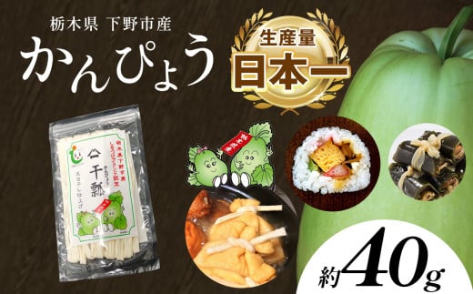 下野ブランド 下野市産かんぴょう 約40g×1袋 | かんぴょう かんぴょう生産日本一 干瓢 野菜 乾物 栃木県 下野市 特産品