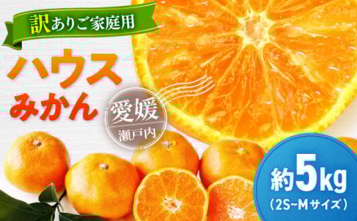 [先行予約][夏限定][ご家庭用]愛媛県産 峯田農園のあま〜い「ハウスみかん」5kg 小玉(2S,S,Mサイズ混合)愛媛県大洲市/峯田農園 [AGBT021]