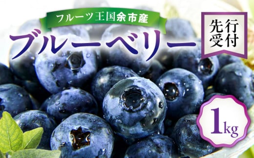 [先行予約:8月上旬以降発送]フルーツ王国余市産 生ブルーベリー 1Kg[ニトリ観光果樹園]