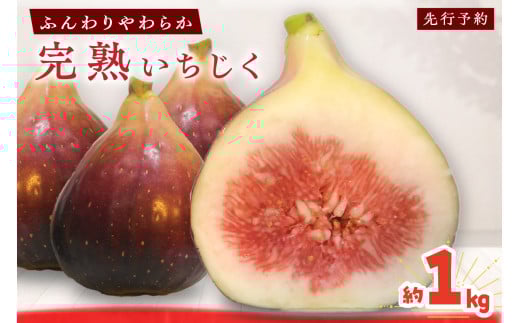 【先行予約】ふんわり柔らか朝どり完熟いちじ