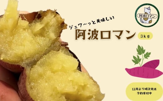 アイテムID:420571の画像1枚目