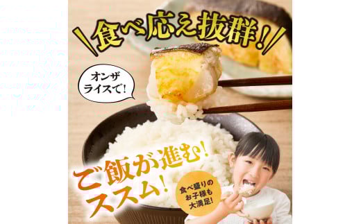 北海道札幌市のふるさと納税 高評価！《 リピート多数★ 》 超厚切り 銀だら 約1.4kg 4種 食べ比べ 冷凍 12パック 切身 たら 魚介 魚 おかず 詰め合わせ 味噌漬け 醤油漬け 麹粕漬け 麹みそ漬 お取り寄せ お弁当に おつまみに 銀鱈 人気 北海道 札幌市
