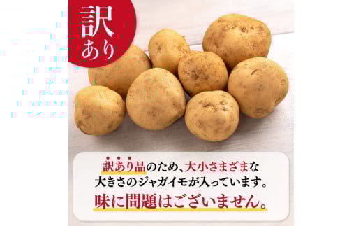 訳あり 大容量 福岡県 大刀洗町産 じゃがいも 約10kg 野菜 訳あり 大容量 福岡県 大刀洗町産 じゃがいも 約10kg 野菜