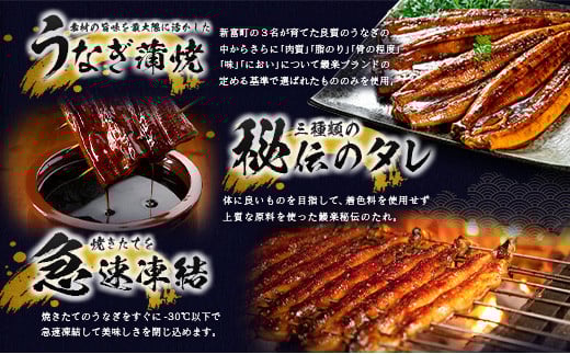 宮崎県新富町のふるさと納税 特大 うなぎ 鰻楽 国産 蒲焼 4尾 人気 無頭 計760g以上 高評価 おすすめ 冷凍 簡単調理 個包装 鰻 魚介 贈答品 ギフト 贈り物【C388】