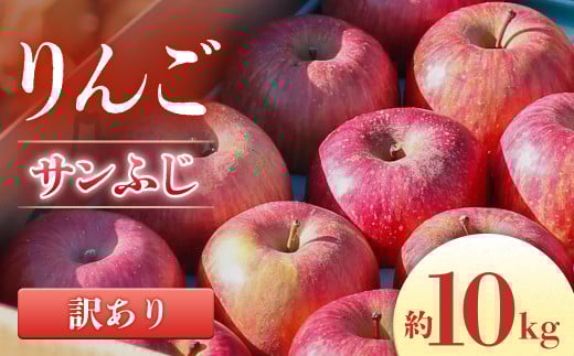 りんご サンふじ※訳あり品※ 約10kg[20〜40玉][2025年11月下旬発送開始 先行予約分]