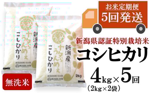 [先行予約・令和7年産新米・5ヶ月定期便]コシヒカリ 無洗米 4kg(2kg×2袋)×5回(計 20kg)ヤタらうんめぇお米 水田環境鑑定士在籍[Y0507]