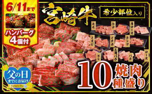 【父の日(6月15日)までにお届け予定】【期間・数量限定】宮崎牛焼肉10種盛り合わせ・国産牛ハンバーグ100g×4個_M132-067-B1-FD 2118503 - 宮崎県宮崎市