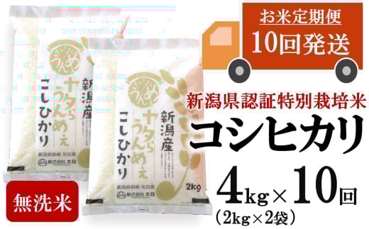 【先行予約・令和7年産新米・10ヶ月定期便】コシヒカリ 無洗米 4kg（2kg×2袋）×10回（計 40kg）ヤタらうんめぇお米 水田環境鑑定士在籍[Y0511] 2137189 - 新潟県柏崎市
