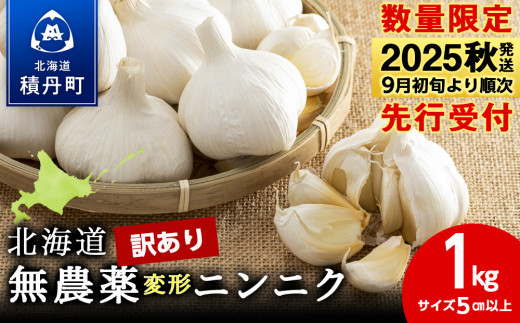 【数量限定】訳あり無農薬変形ニンニク1kg（500g×2袋）玉 変形 無農薬 にんにくガーリック 2116374 - 北海道積丹町