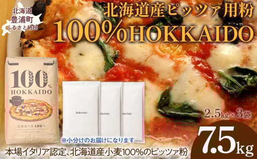 100% HOKKAIDO ピッツァ用粉 7.5kg 【 ふるさと納税 人気 おすすめ ランキング 小麦粉 パン ピザ ピッツァ 国産 北海道 HOKKAIDO 自宅用 江別製粉 北海道 豊浦町 送料無料 】 TYUAI024 2112086 - 北海道豊浦町