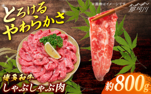 博多和牛　しゃぶしゃぶ　約800g＜一般社団法人地域商社ふるさぽ＞ 那珂川市 [GBX073] 2117244 - 福岡県那珂川市