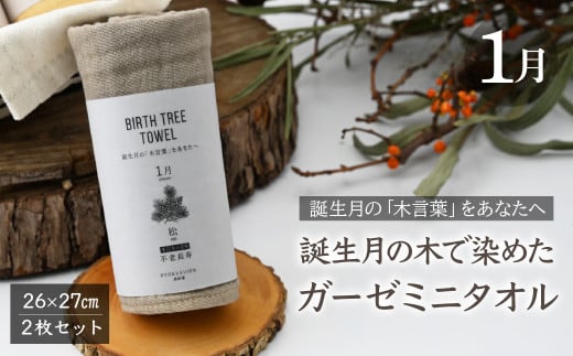 1月「松」の木言葉「不老長寿」 BIRTH TREE TOWEL | RYOKUSUIEN 緑酔園 草木染め THE NEWOLD WORKS バースツリータオル 松 不老長寿 ガーゼ タオル ハンカチ ふわふわ 植物 草木染ガーゼ アップサイクル エシカル ヘリンボーン ギフト贈り物 お祝い プレゼント 母の日 父の日 記念日 埼玉県 草加市 草加