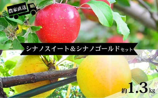 HF45-25A 【信州松川町産】シナノスイート＆シナノゴールド2種セット 約1.3kg／11月上旬発送予定 // 長野県 南信州 オリジナル品種 減農薬栽培 エコファーマー認証農家 りんご3兄弟 HF