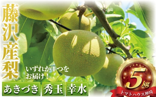 先行予約 梨 約 5kg 幸水 あきづき 秀玉 ナシ 新鮮 季節限定 フルーツ 果物 スイーツ くだもの なし 人気品種 ナシ 和梨 日本梨 赤梨 旬の梨  甘い 爽やか 旬 贈答用 ギフト お中元 プレゼント nasi 贅沢 お取り寄せ 産地直送 農家直送 数量限定 トマトハウス神埼 神奈川 湘南 藤沢 2132396 - 神奈川県藤沢市