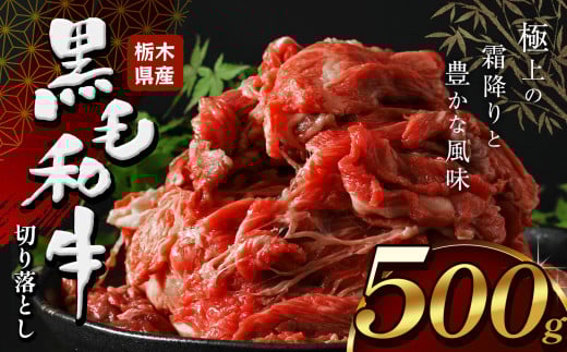 栃木県産牛 黒毛和牛 切り落とし  500g  | 黒毛 和牛 牛肉 焼肉 とろける 霜降り 赤身 切り落とし ふるさと 納税 イチオシ おすすめ 栃木県 下野市 しもつけ市 2117224 - 栃木県下野市