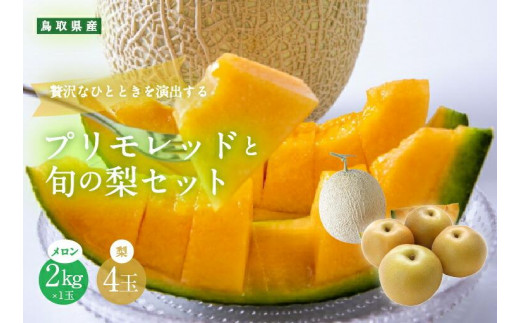 925.【ふるさと納税】【赤肉系メロン】プリモレッド (メロン) と旬の梨セット※離島への配送不可（北海道、沖縄本島は配送可能） 2117046 - 鳥取県北栄町