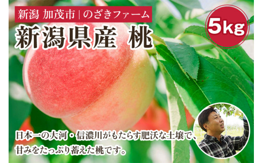 【2025年先行予約】新潟県産 桃 5kg（13～20玉）《7月中旬～順次出荷》 果物 くだもの フルーツ もも ピーチ 新潟県加茂市 のざきファーム 2117014 - 新潟県加茂市