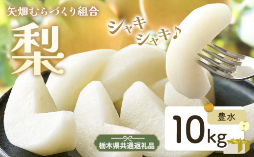 N03 梨 なし 豊水 10kgフルーツ 先行予約 矢畑むらづくり組合《8月下旬-9月中旬頃出荷》 栃木県【栃木県共通返礼品　栃木県産】【配送不可地域あり】(離島) 582226 - 栃木県野木町