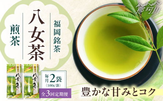 【全3回定期便】八女茶　煎茶セット　100g×2袋 ＜木村食品＞ 那珂川市 [GFW063] 2117310 - 福岡県那珂川市