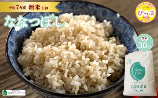 2025年産 先行受付【農業生産法人ノウリエ】北海道産 ななつぼし 玄米 30kg【10月から11月上旬発送】米 お米 北海道米 特Aランク 国産 コメ 北海道 比布町 ぴっぷ 2145610 - 北海道比布町