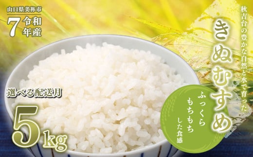 令和7年度産 新米 きぬむすめ 白米 5kg 先行予約 ＜ 2025年10月中旬～より順次発送予定 ＞ ｜ 精米 新米 白米 米 お米 コメ 単一米 きぬむすめ 山口 美祢 秋吉台 5kg 2112776 - 山口県美祢市