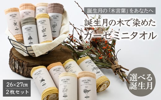 [選べる] BIRTH TREE TOWEL 誕生月の木で染めたガーゼのミニタオルセット | RYOKUSUIEN 緑酔園 草木染め THE NEWOLD WORKS ガーゼ タオル ハンカチ ふわふわ 植物 草木染ガーゼ アップサイクル エシカル ヘリンボーン ギフト贈り物 お祝い プレゼント 母の日 父の日 記念日 埼玉県 草加市 草加