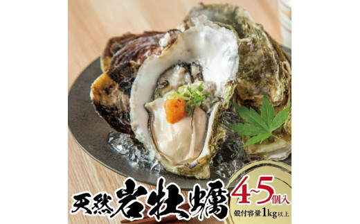 SB0655　天然岩牡蠣　計1kg以上(4～5個入)