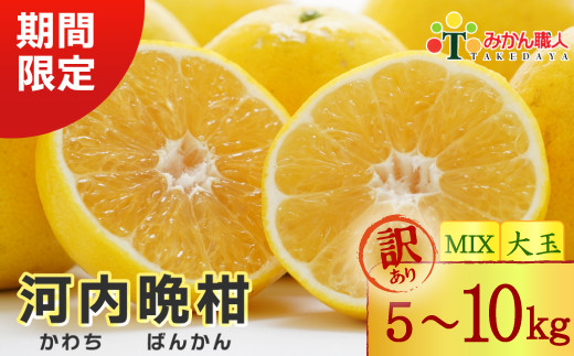 [選べる容量]訳あり みかん職人の河内晩柑 5kg 10kg ミックスサイズ 大玉 (なくなり次第終了) 河内晩柑 果物 柑橘 みかん 愛南ゴールド 蜜柑 グレープフルーツ ゼリー ジュース アイス 果物 フルーツ 健康 美容 ビタミン クエン酸 訳あり サイズミックス 規格外 送料無料 5kg 10kg 8000円 12000円 15000円 武田屋